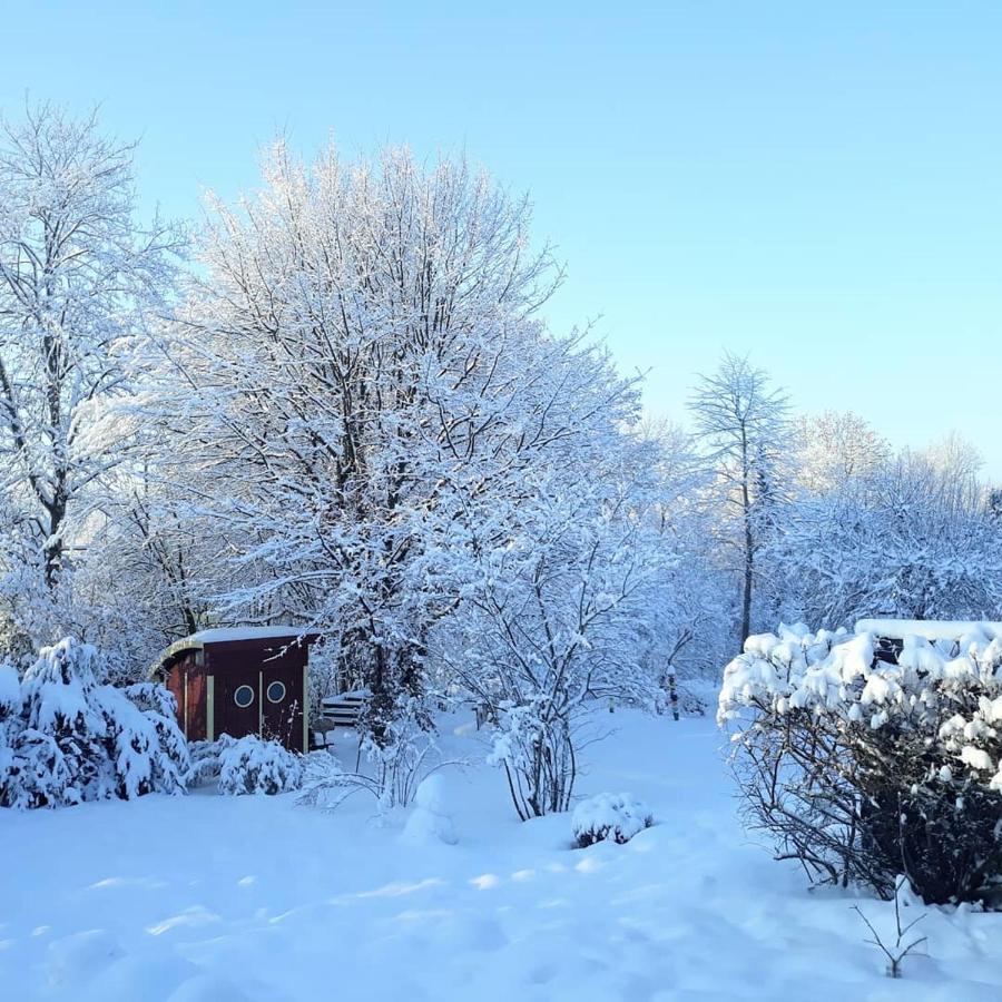 #Staywild29 - Gemuetliche Ferienwohnung Im Allgaeu 켐프텐 외부 사진